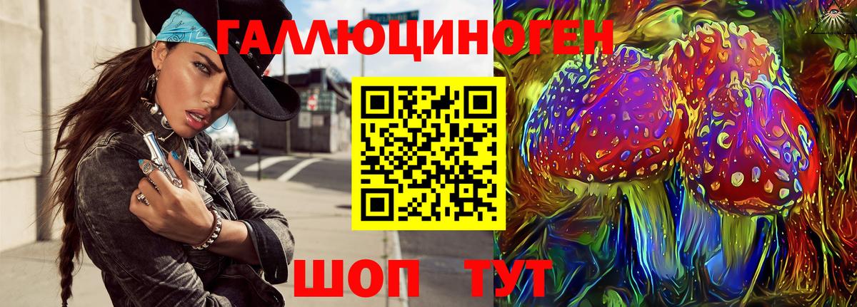 Псилоцибиновые грибы Cubensis  Вход с VPN  Коммунар 