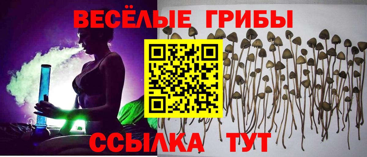 Галлюциногенные грибы Cubensis Коммунар